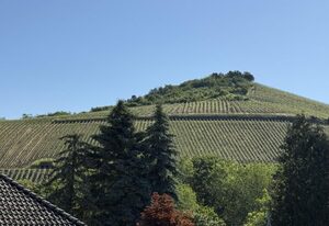 Ferienhaus Licht-Blick 9
