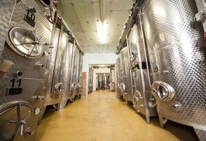 Gästehaus Weingut Trossen – 2-Bettwohnung