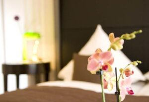 Hotel Zum Augarten – Einzelzimmer, Dusche, WC, Nichtraucher