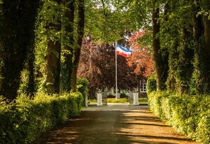 Ostseeferien Evershof – Silbermöwe