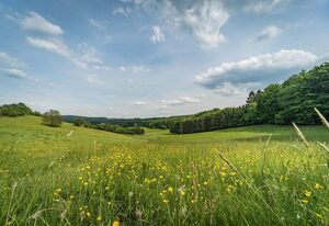 Ferienhaus zum Talblick