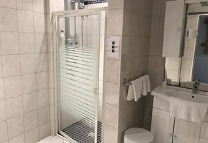 Hotel Rheinlust – Einzelzimmer, Dusche oder Bad, WC, 1 Schlafraum