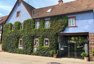 Schönbachhof – Appartement