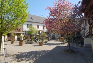 Apartments Lilienhof – 6-Bett-Ferienwohnung Spirit, Dusche/WC