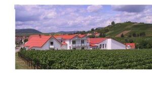 Weingut-Gästehaus Hans Dieter Bosch – Suite "2"