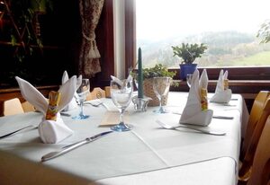 Hotel Landgasthof zum Pflug – Doppelzimmer 1 ohne Balkon