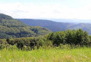 Hotel Landgasthof zum Pflug – Doppelzimmer 1 ohne Balkon