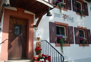 Hotel Landgasthof zum Pflug – Doppelzimmer 1 ohne Balkon