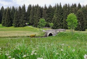 Ferienhaus am Erzgebirgskamm – Ferienhaus Kühnhaide