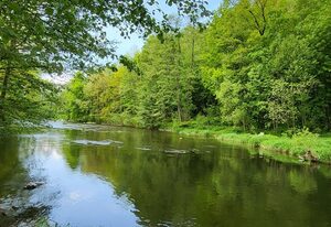 Urlaub auf dem Bauernhof – Rustikale Ferienwohnung