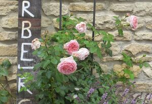 Herberge Rheinhessen – Doppelzimmer "Thymian"