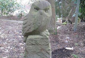 Eulennest