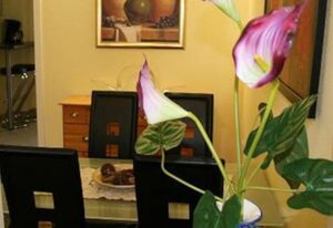 Ferienhaus Sophie – Ferienhaus, Bad, WC, Nichtraucher