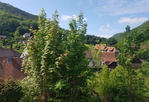Haus Am Sagenweg – Ferienhaus, Bad, WC, 1 Schlafraum