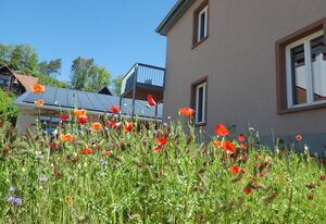 Ferienwohnung- Vier Sterne mitten im Biosphärenreservat Pfälzerwald/Nordvogesen