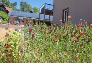 Ferienwohnung Vier Sterne mitten im Biosphärenreservat Pfälzerwald/Nordvogesen
