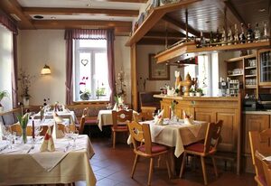 Hotel Zum Schwan – Appartement/Fewo, Dusche, WC, 1 Schlafraum
