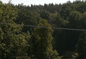 Ferienwohnung am Waldrand – Ferienwohnung am Waldrand (140qm) mit Balkon und Garten