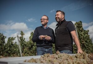 Hiestand's Gästehaus - Weingut & Hofbrennerei – Doppelzimmer Himmelthal