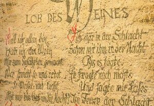 Das Crass: Wein-Wirtschaft-Hotel – Einzelzimmer, Dusche, WC