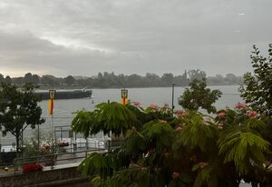 Rhein-Hotel Nierstein – Ferienwohnung DZ | nicht stornierbar | nur Übernac