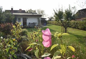Ferienhäuser Alt Farpen am Salzhaff OVS 11 – Nr.2 / 3-Raum-Ferienhaus (65m², 2-5 Pers.)