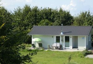 Ferienhaus Lachmöwe
