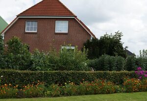 Ferienhof Witt