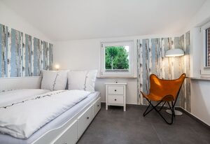 Ferienhaus-Nordseebirke