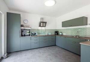 Ferienhaus-Nordseebirke