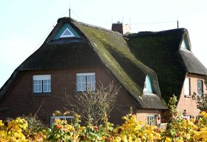 Haus Deichgraf