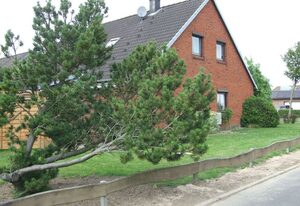 Doppelhaushälfte Thormählen/Wulf – Ferienhaus Thormählen