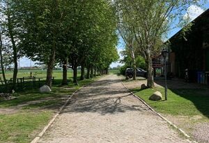 Tjarkshof – Fewo Ruth