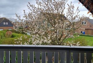 Ferienhaus Norderpiep 54 Grad Nord