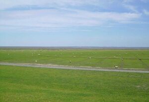 Pension Bed & Breakfast hinterm Nordseedeich – Zimmer 9 DZ  mit 2 Einzelbetten