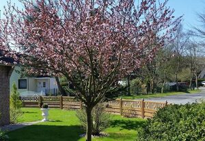 Ferienhaus Wiedingharde I