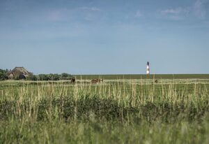 Kirchspielkrug Westerhever – Einzelzimmer