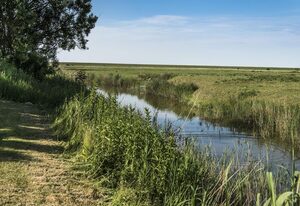 Kirchspielkrug Westerhever – Einzelzimmer