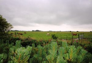 Ferienhaus Fernblick