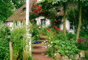 Gästehaus Andresen-Warft – Einzelzimmer 1
