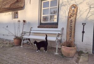 Hamkenshof – Eckwohnung