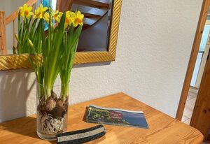 Ferien bei Goos - Ferienwohnung "Gerste"