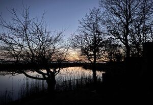 Waldweg 33