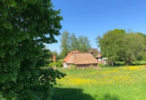 Haus Lieschen