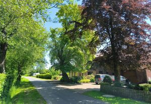 FeWo zwischen den Meeren: schöne FeWo mit Garten – Ferienwohnung zwischen den Meeren