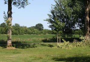 Detjens: FeWo in ruhiger Lage mit Terrasse und Garten – Ferienwohnung Detjens