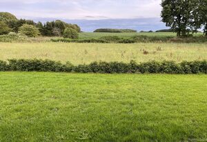 Haacksen: Ferienhaus mit Garten, Grill und 4 Schlafzimmern – Ferienhaus Haacksen
