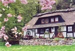 Ferienhaus Mühlenholz