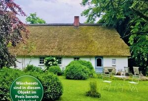 Hollerbusch