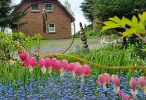 Ferienhaus Schlei-Wiese in Ulsnis mitten im Naturpark Schlei